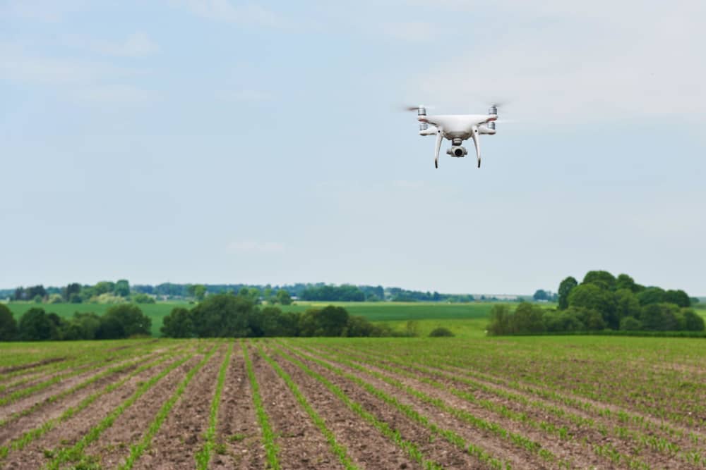 AI in agriculture