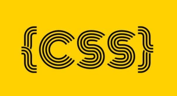 css-author (1)