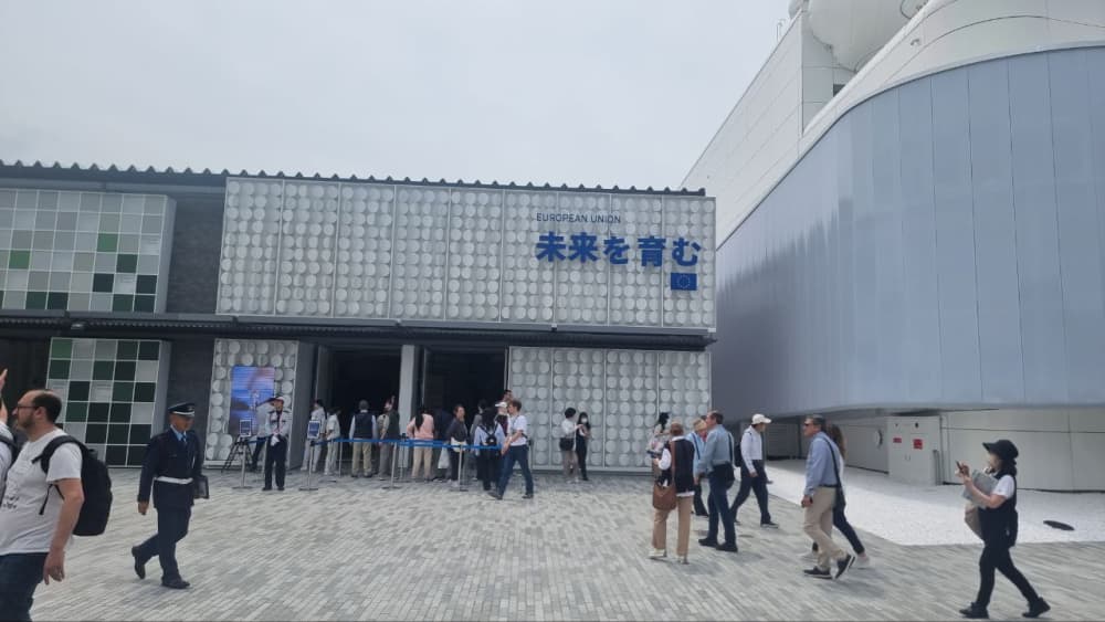 photo 2025-04-18 05-58-35 (2)