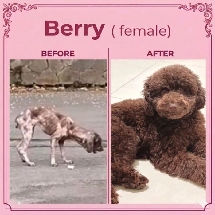 Berry