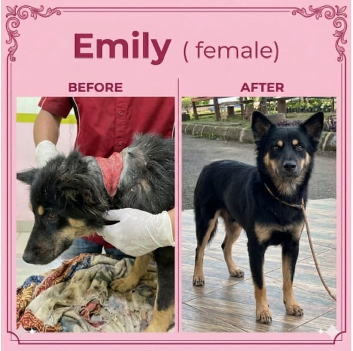 Emily