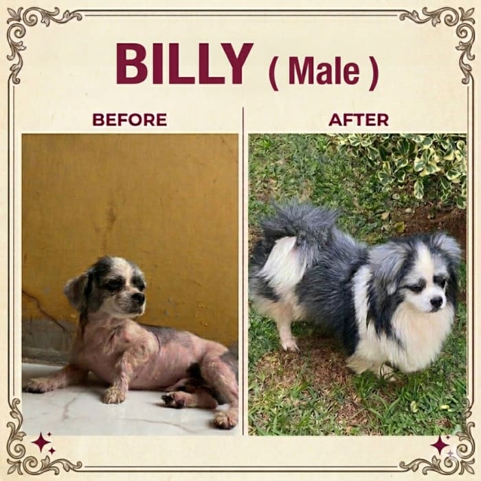 Billy
