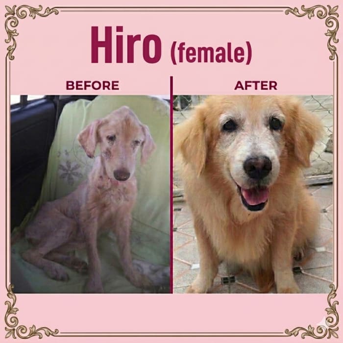Hiro