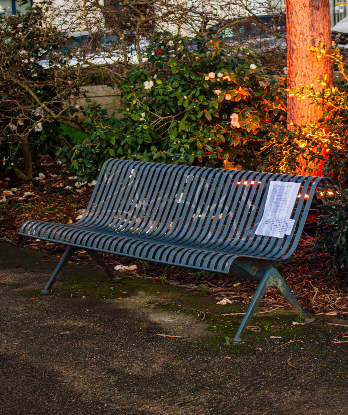 Antécédents (27 Juin 1892)