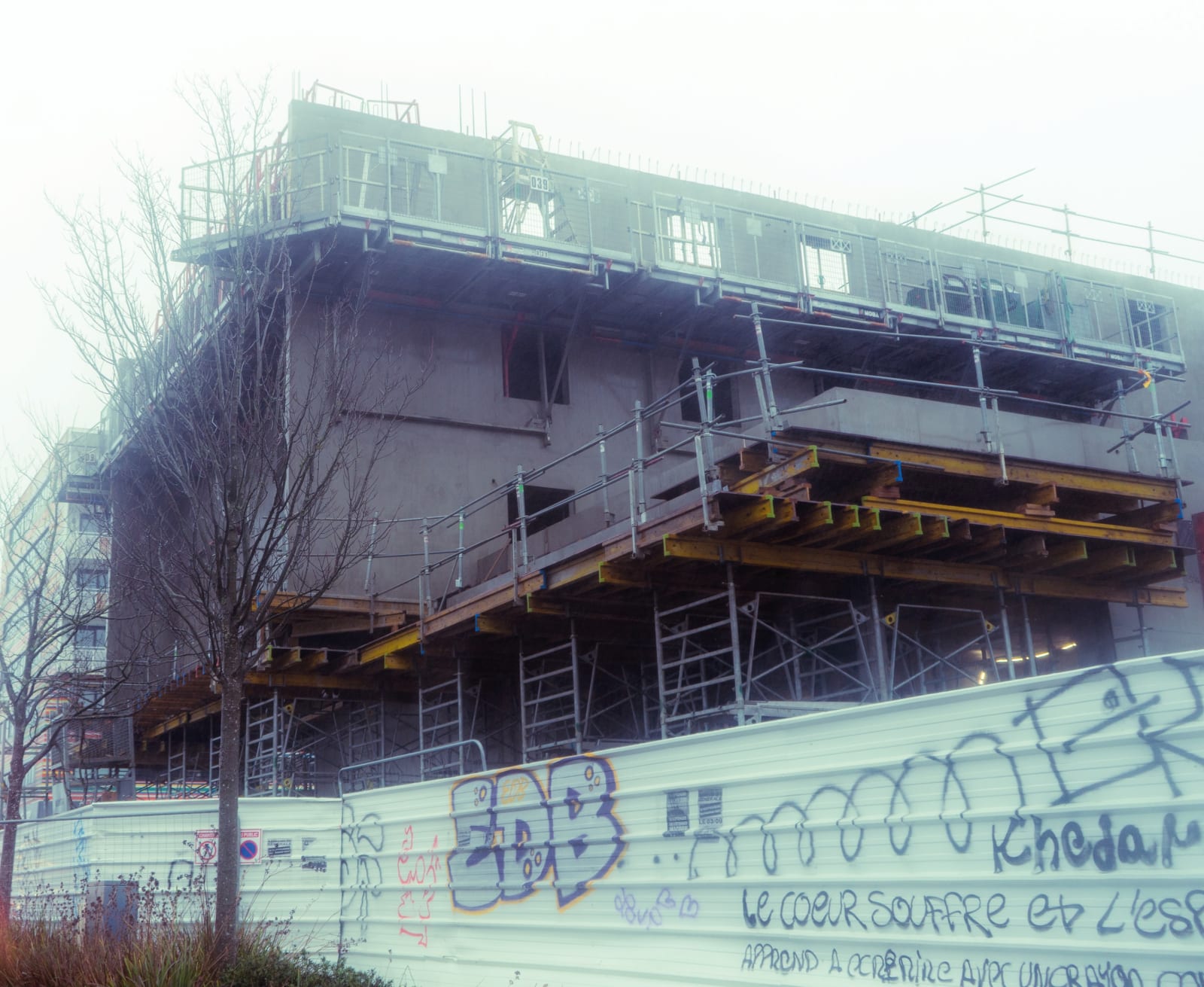 déambulation de décembre