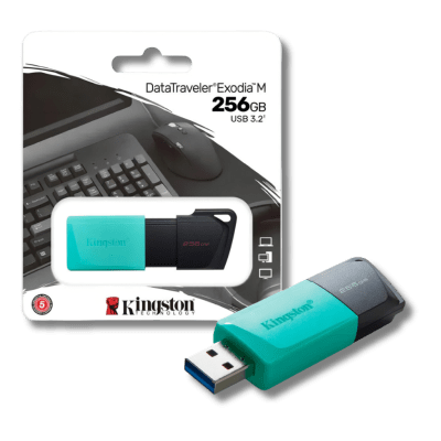 cna/Almacenamiento/Kingstone/kingston_pendrive_256gb_2