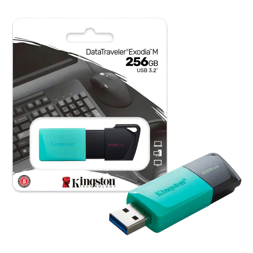 cna/Almacenamiento/Kingstone/pendrive_exodia_m_256gb_1