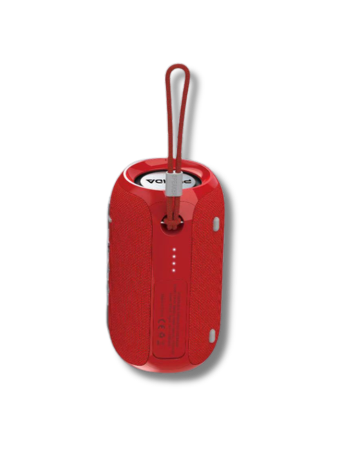 cna/Parlantes/Puxida/puxida_yx01_3