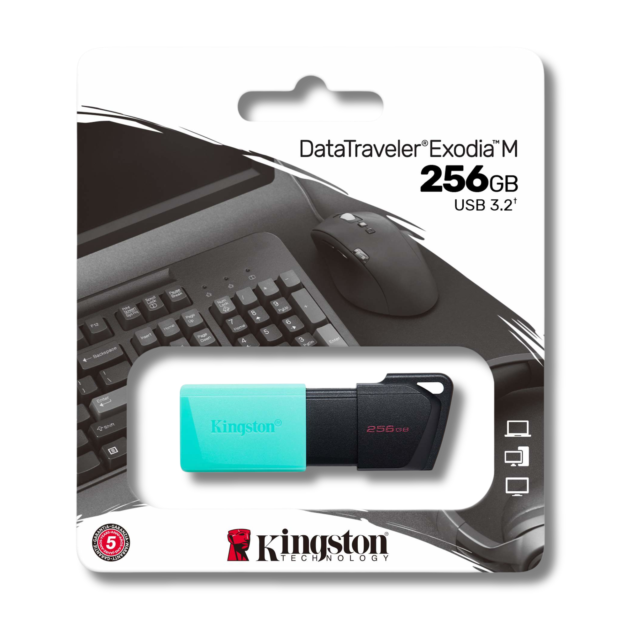 cna/Almacenamiento/Kingstone/kingston_pendrive_256gb_1