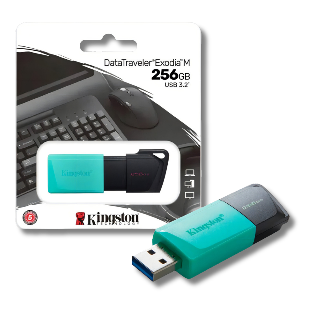 cna/Almacenamiento/Kingstone/kingston_pendrive_256gb_2