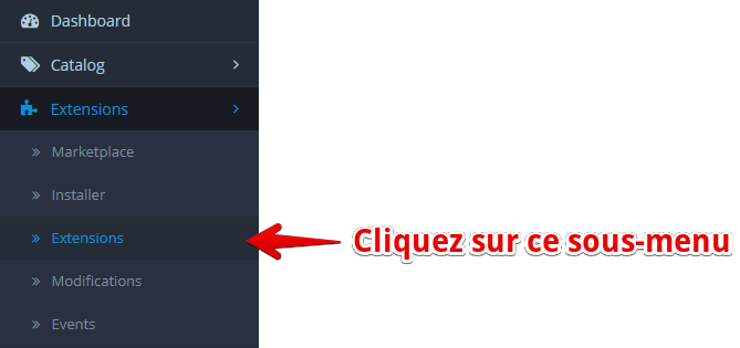 Image montrant la liste des extensions
