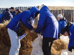 Подготовка к зиме: помощь приютам в нашем регионе