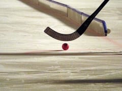 В Красноярске подрались родители и тренер юных хоккеистов