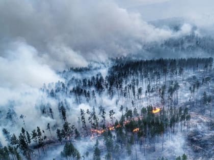 11 лесных пожаров действует в Иркутской области 17 июня