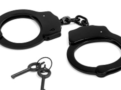 «Сеют смуту»: в Госдуме прокомментировали попытку покушения на Собчак и Симоньян