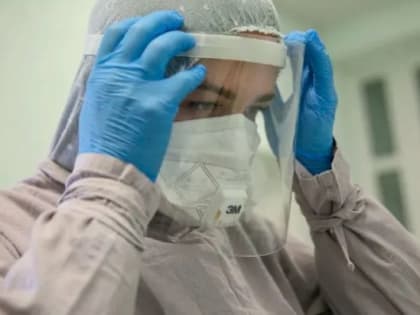 В России выявили первый вирус гриппа H3N2