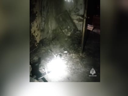 Многодетная семья спасена на пожаре в Ангарске