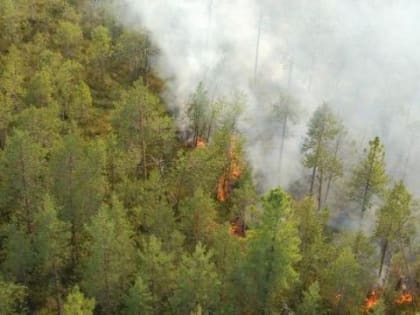 В лесах Иркутской области остались три непотушенных лесных пожара