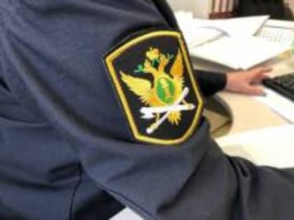 В Бурятии женщина отсудила больше 400 тысяч за убитых током коров