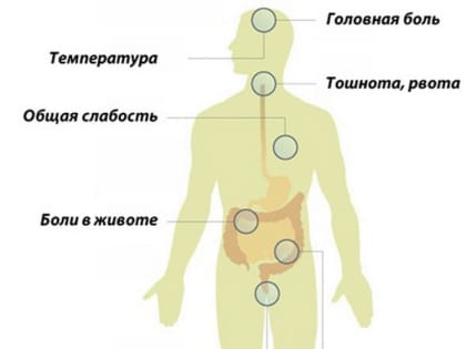 Рост заболеваемости сальмонеллёзом отмечается в Иркутской области