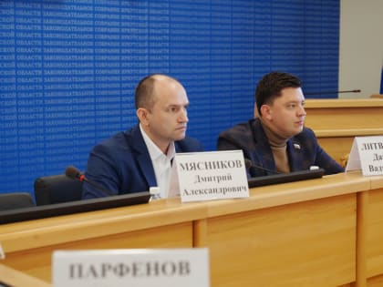 Меры соцподдержки детей-сирот рассмотрят парламентарии на февральской сессии ЗС