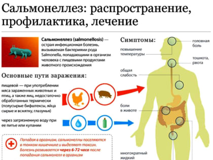 Внимание: САЛЬМОНЕЛЛЁЗ!