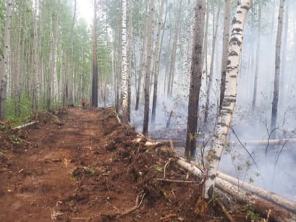 Одно новое возгорание обнаружено в лесах Приангарья