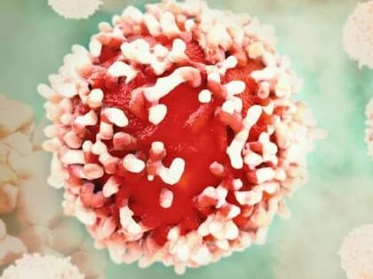 Российская вакцина против рака прошла доклинические испытания