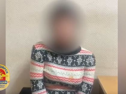 Красноярска решила подзаработать в Новый год и украла несколько телефонов