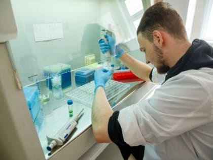 Генетики объяснили, как лиственница научилась выживать в экстремальных условиях