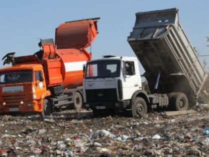 В Алтайском крае подсчитали обороты и доходы 