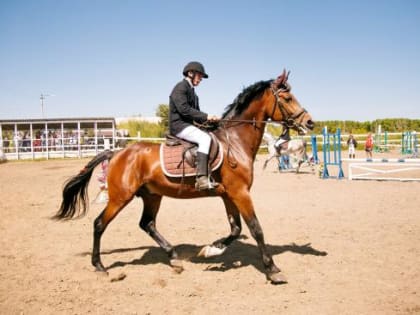 Чемпионат и первенство СФО по конному спорту пройдут в Иркутском районе 25 – 28 июня