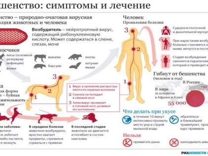 Бешенство: симптомы и лечение
