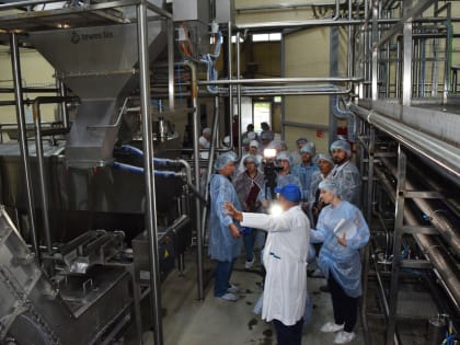 Цех по производству творога открыли на молочном заводе в Усолье-Сибирском