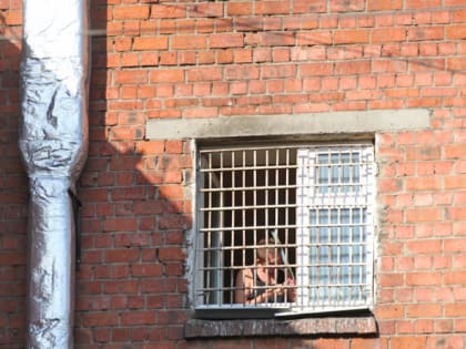 Пишу вам из палаты № 6