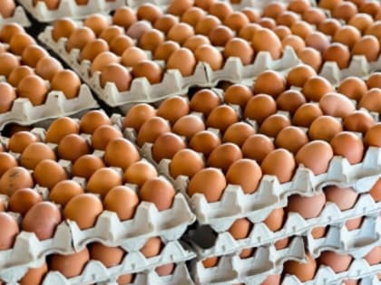 Из-за птичьего гриппа ввели карантин