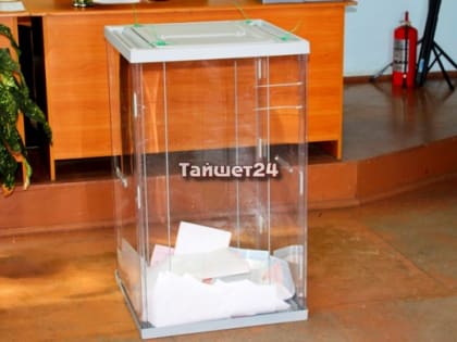 Явка на выборах к 18:00 в Тайшетском районе превысила 22%