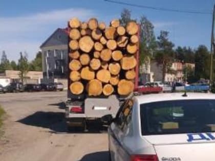 Инспекторы ГИБДД провели оперативно-профилактическое мероприятие «Лесовоз»