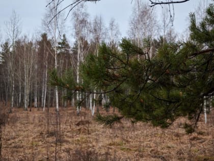 День 24 октября, понедельник