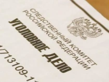 В Хабаровском крае собака опять покусала ребенка