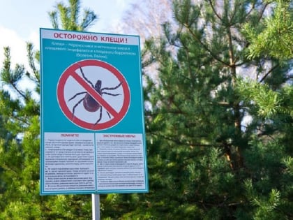 С начала эпидемического сезона 95 жителей Иркутской области пострадали от укусов клещей