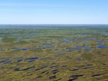 Томские ученые определили площадь Васюганских болот