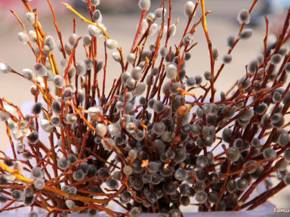 В конце недели православные христиане отметят два важных праздника