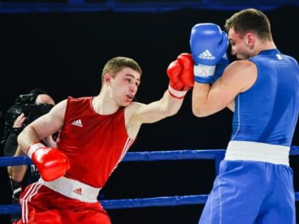 В Иркутске проходит чемпионат Сибири по боксу среди мужчин