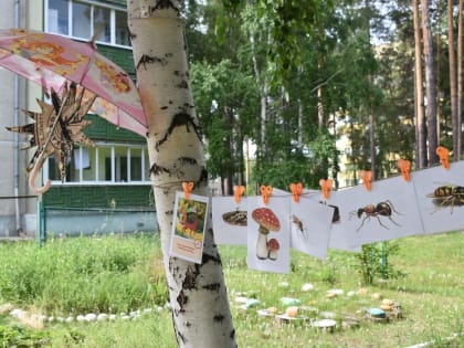 Путешествие в страну безопасности