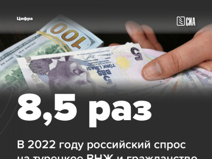 В 2022 году российский спрос на турецкое ВНЖ и гражданство вырос в 8,5 раз