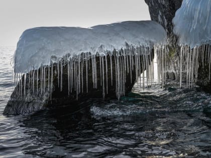 День 11 декабря, воскресенье