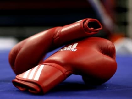 В Иркутске проходит чемпионат Сибири по боксу