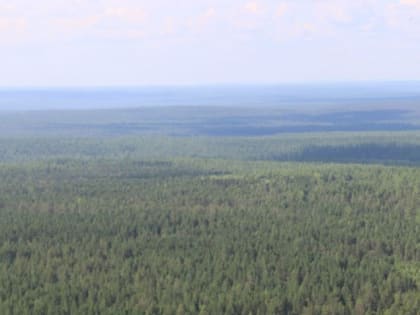 Иркутская авиабаза привлечет 10 самолетов Ан-2 для мониторинга и тушения лесных пожаров в 2023 году