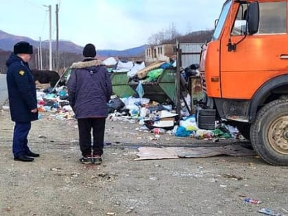 В Хасанском районе не только убивают тигров, но и не вывозят мусор